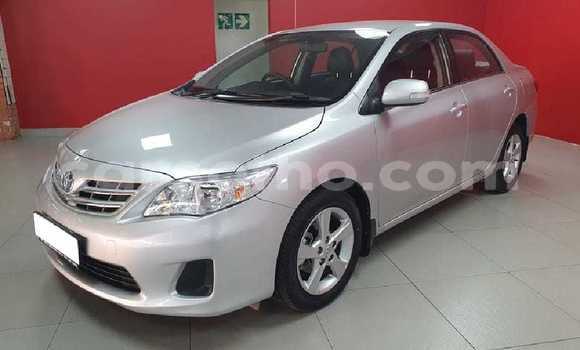 Acheter Occasion Voiture Toyota Corolla Gris à Butha–Buthe, Thaba-Tseka Acheter Occasion Voiture Toyota Corolla Gris à Butha–Buthe, Thaba-Tseka