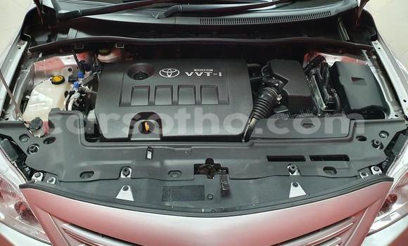 Acheter Occasion Voiture Toyota Corolla Gris à Butha–Buthe, Thaba-Tseka Acheter Occasion Voiture Toyota Corolla Gris à Butha–Buthe, Thaba-Tseka