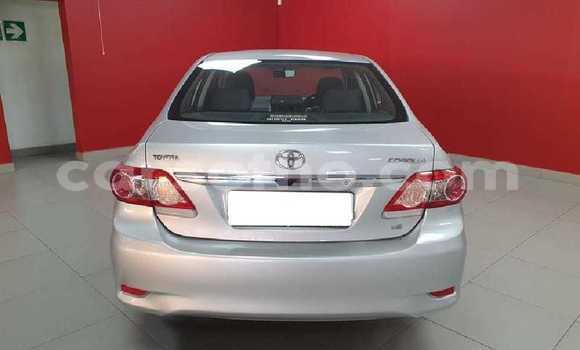 Acheter Occasion Voiture Toyota Corolla Gris à Butha–Buthe, Thaba-Tseka Acheter Occasion Voiture Toyota Corolla Gris à Butha–Buthe, Thaba-Tseka