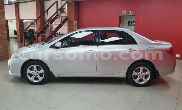 Acheter Occasion Voiture Toyota Corolla Gris à Butha–Buthe, Thaba-Tseka Acheter Occasion Voiture Toyota Corolla Gris à Butha–Buthe, Thaba-Tseka