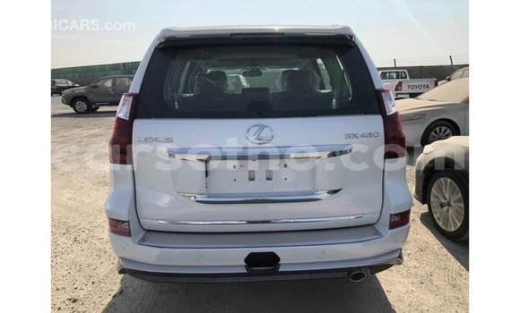 Acheter Import Voiture Lexus GX Blanc à Import - Dubai, Maseru Acheter Import Voiture Lexus GX Blanc à Import - Dubai, Maseru