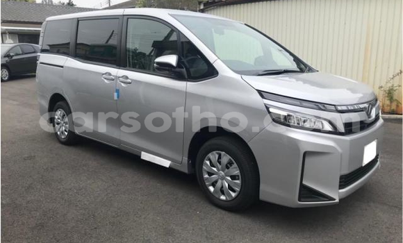 Sayi Imported Toyota Voxy Other Mota in Maseru a Maseru Sayi Imported Toyota Voxy Other Mota in Maseru a Maseru