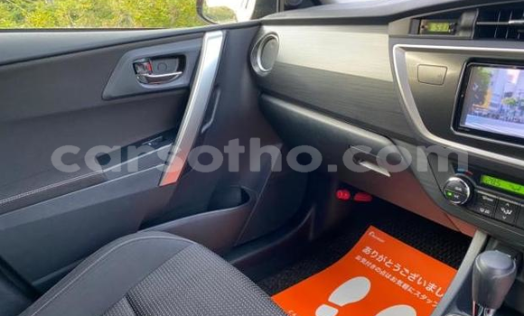 Buy Import Toyota Auris Other Car in Maseru in Maseru Buy Import Toyota Auris Other Car in Maseru in Maseru