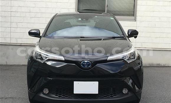 اشتري Imported Toyota C-HR Black سيارة في Maseru في Maseru اشتري Imported Toyota C-HR Black سيارة في Maseru في Maseru