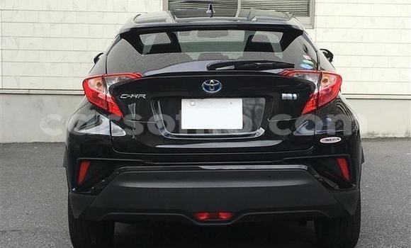 اشتري Imported Toyota C-HR Black سيارة في Maseru في Maseru اشتري Imported Toyota C-HR Black سيارة في Maseru في Maseru