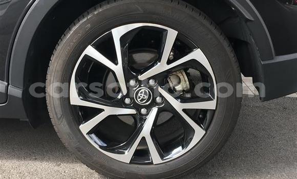 اشتري Imported Toyota C-HR Black سيارة في Maseru في Maseru اشتري Imported Toyota C-HR Black سيارة في Maseru في Maseru