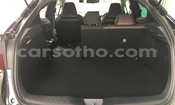اشتري Imported Toyota C-HR Black سيارة في Maseru في Maseru اشتري Imported Toyota C-HR Black سيارة في Maseru في Maseru