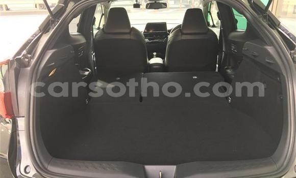 اشتري Imported Toyota C-HR Black سيارة في Maseru في Maseru اشتري Imported Toyota C-HR Black سيارة في Maseru في Maseru