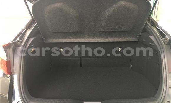 اشتري Imported Toyota C-HR Black سيارة في Maseru في Maseru اشتري Imported Toyota C-HR Black سيارة في Maseru في Maseru