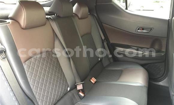 اشتري Imported Toyota C-HR Black سيارة في Maseru في Maseru اشتري Imported Toyota C-HR Black سيارة في Maseru في Maseru