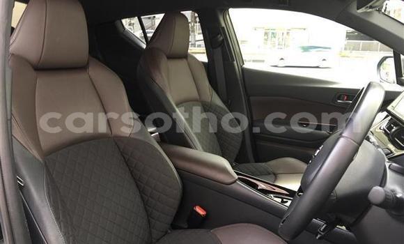اشتري Imported Toyota C-HR Black سيارة في Maseru في Maseru اشتري Imported Toyota C-HR Black سيارة في Maseru في Maseru