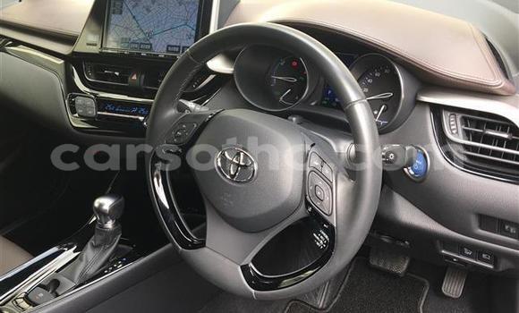 اشتري Imported Toyota C-HR Black سيارة في Maseru في Maseru اشتري Imported Toyota C-HR Black سيارة في Maseru في Maseru