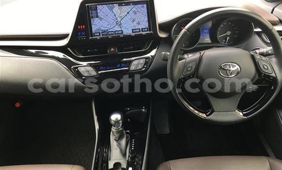 اشتري Imported Toyota C-HR Black سيارة في Maseru في Maseru اشتري Imported Toyota C-HR Black سيارة في Maseru في Maseru