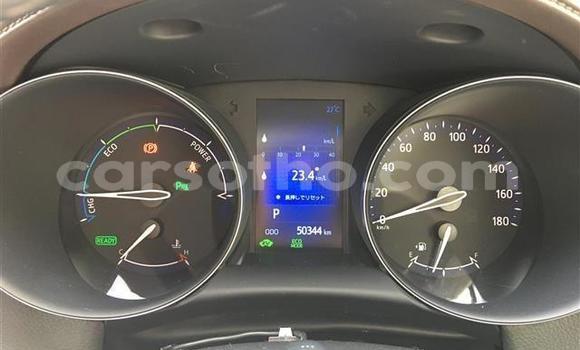 اشتري Imported Toyota C-HR Black سيارة في Maseru في Maseru اشتري Imported Toyota C-HR Black سيارة في Maseru في Maseru