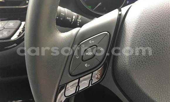 اشتري Imported Toyota C-HR Black سيارة في Maseru في Maseru اشتري Imported Toyota C-HR Black سيارة في Maseru في Maseru