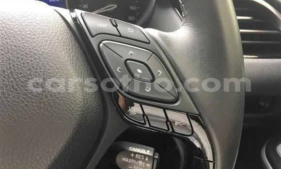 اشتري Imported Toyota C-HR Black سيارة في Maseru في Maseru اشتري Imported Toyota C-HR Black سيارة في Maseru في Maseru