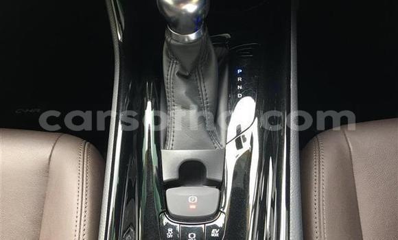 اشتري Imported Toyota C-HR Black سيارة في Maseru في Maseru اشتري Imported Toyota C-HR Black سيارة في Maseru في Maseru