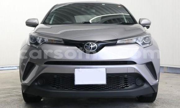 اشتري Imported Toyota C-HR Other سيارة في Maseru في Maseru اشتري Imported Toyota C-HR Other سيارة في Maseru في Maseru