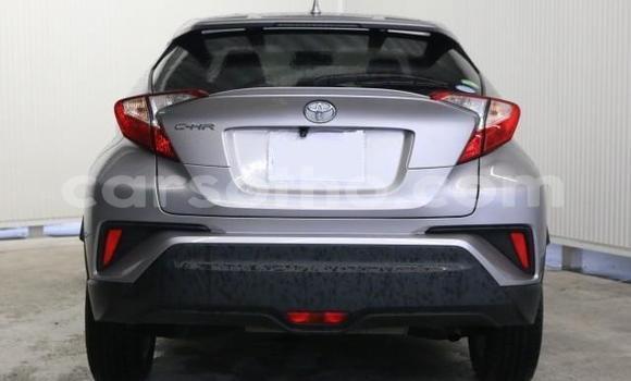 اشتري Imported Toyota C-HR Other سيارة في Maseru في Maseru اشتري Imported Toyota C-HR Other سيارة في Maseru في Maseru