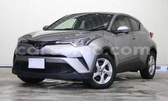 اشتري Imported Toyota C-HR Other سيارة في Maseru في Maseru اشتري Imported Toyota C-HR Other سيارة في Maseru في Maseru