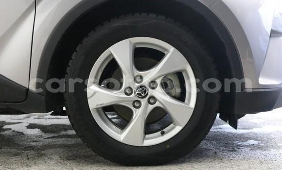 اشتري Imported Toyota C-HR Other سيارة في Maseru في Maseru اشتري Imported Toyota C-HR Other سيارة في Maseru في Maseru