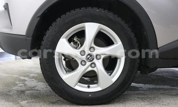اشتري Imported Toyota C-HR Other سيارة في Maseru في Maseru اشتري Imported Toyota C-HR Other سيارة في Maseru في Maseru