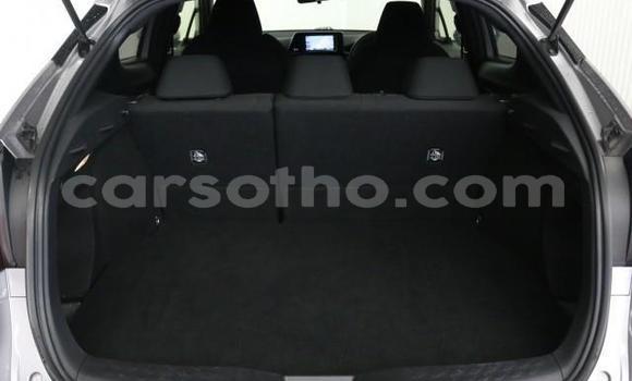 اشتري Imported Toyota C-HR Other سيارة في Maseru في Maseru اشتري Imported Toyota C-HR Other سيارة في Maseru في Maseru