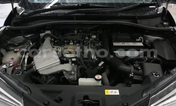 اشتري Imported Toyota C-HR Other سيارة في Maseru في Maseru اشتري Imported Toyota C-HR Other سيارة في Maseru في Maseru