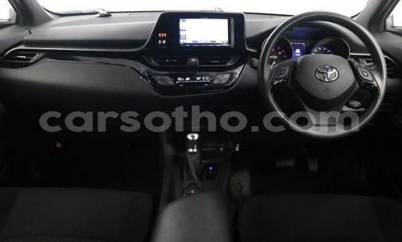 اشتري Imported Toyota C-HR Other سيارة في Maseru في Maseru اشتري Imported Toyota C-HR Other سيارة في Maseru في Maseru