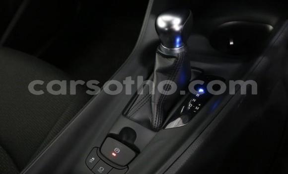 اشتري Imported Toyota C-HR Other سيارة في Maseru في Maseru اشتري Imported Toyota C-HR Other سيارة في Maseru في Maseru