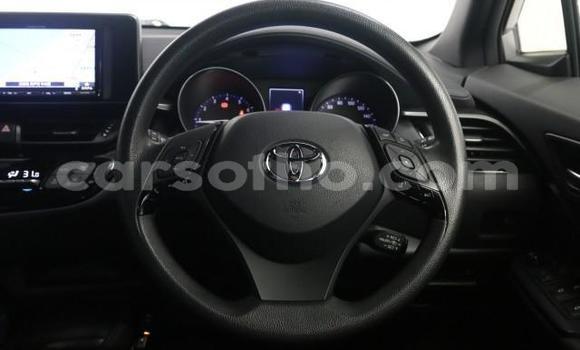 اشتري Imported Toyota C-HR Other سيارة في Maseru في Maseru اشتري Imported Toyota C-HR Other سيارة في Maseru في Maseru