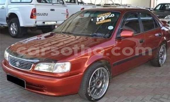 اشتري مستعمل Toyota Corolla Red سيارة في Maseru في Maseru اشتري مستعمل Toyota Corolla Red سيارة في Maseru في Maseru