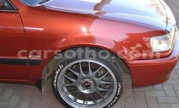 اشتري مستعمل Toyota Corolla Red سيارة في Maseru في Maseru اشتري مستعمل Toyota Corolla Red سيارة في Maseru في Maseru