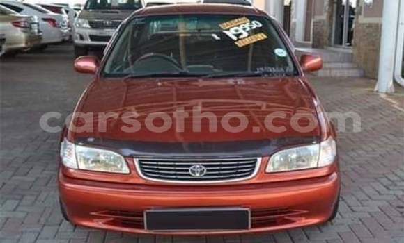 اشتري مستعمل Toyota Corolla Red سيارة في Maseru في Maseru اشتري مستعمل Toyota Corolla Red سيارة في Maseru في Maseru