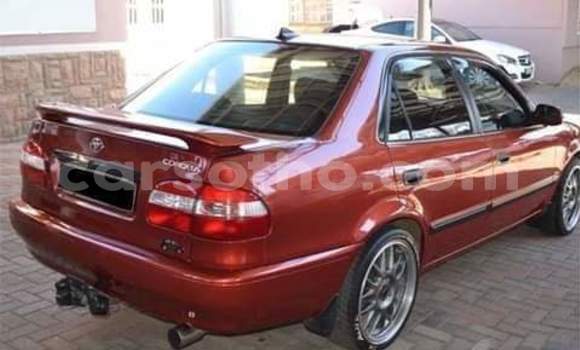 اشتري مستعمل Toyota Corolla Red سيارة في Maseru في Maseru اشتري مستعمل Toyota Corolla Red سيارة في Maseru في Maseru