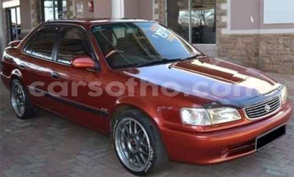 اشتري مستعمل Toyota Corolla Red سيارة في Maseru في Maseru اشتري مستعمل Toyota Corolla Red سيارة في Maseru في Maseru