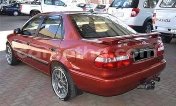 اشتري مستعمل Toyota Corolla Red سيارة في Maseru في Maseru اشتري مستعمل Toyota Corolla Red سيارة في Maseru في Maseru