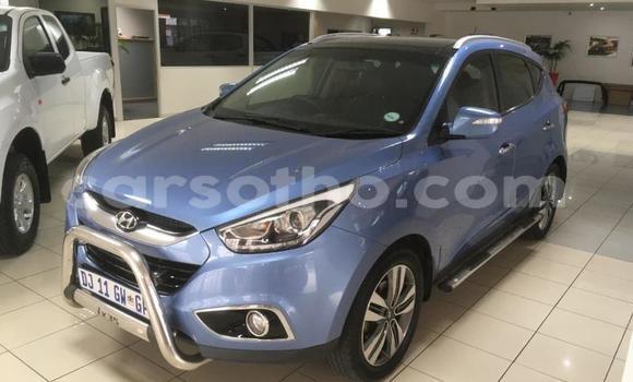 اشتري مستعمل Hyundai ix35 Blue سيارة في Mafeteng في Mafeteng اشتري مستعمل Hyundai ix35 Blue سيارة في Mafeteng في Mafeteng
