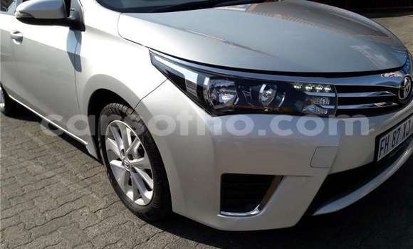 Buy Used Toyota Corolla Silver Car in Maseru in Maseru Buy Used Toyota Corolla Silver Car in Maseru in Maseru