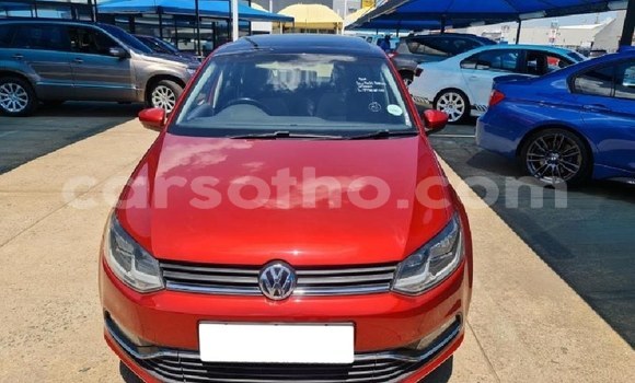 Acheter Occasion Voiture Volkswagen Polo Autre à Butha–Buthe, Thaba-Tseka Acheter Occasion Voiture Volkswagen Polo Autre à Butha–Buthe, Thaba-Tseka