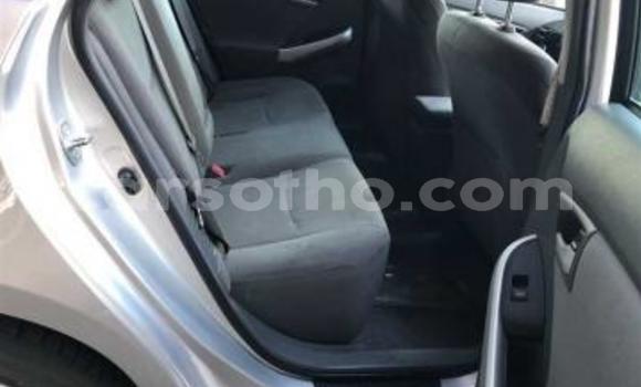 Acheter Occasion Voiture Toyota Prius Gris à Maputsoe, Leribe Acheter Occasion Voiture Toyota Prius Gris à Maputsoe, Leribe