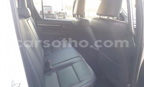 اشتري مستعمل Toyota Hilux White سيارة في Maputsoe في Leribe اشتري مستعمل Toyota Hilux White سيارة في Maputsoe في Leribe
