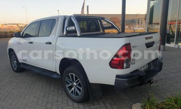 اشتري مستعمل Toyota Hilux White سيارة في Maputsoe في Leribe اشتري مستعمل Toyota Hilux White سيارة في Maputsoe في Leribe