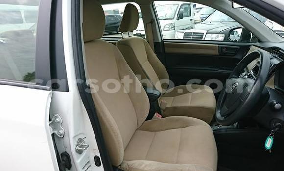 Acheter Import Voiture Toyota Axio Noir à Maseru, Maseru Acheter Import Voiture Toyota Axio Noir à Maseru, Maseru