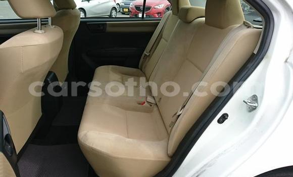 Acheter Import Voiture Toyota Axio Noir à Maseru, Maseru Acheter Import Voiture Toyota Axio Noir à Maseru, Maseru