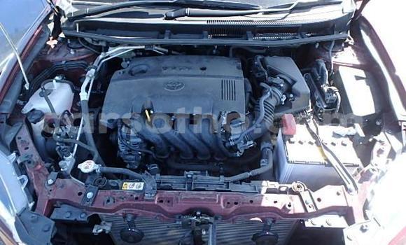اشتري Imported Toyota Premio Other سيارة في Maseru في Maseru اشتري Imported Toyota Premio Other سيارة في Maseru في Maseru