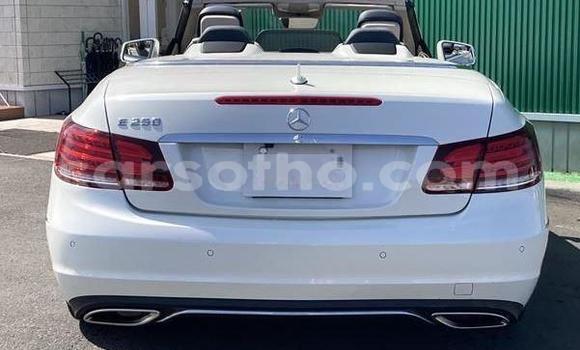 Buy Import Mercedes-Benz E–Class White Car in Maseru in Maseru Buy Import Mercedes-Benz E–Class White Car in Maseru in Maseru