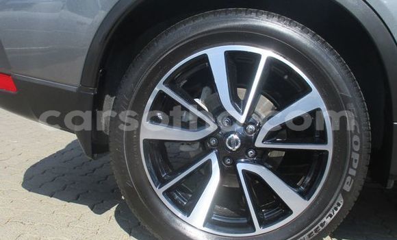 Buy Used Nissan X–Trail Silver Car in Maputsoe in Leribe Buy Used Nissan X–Trail Silver Car in Maputsoe in Leribe