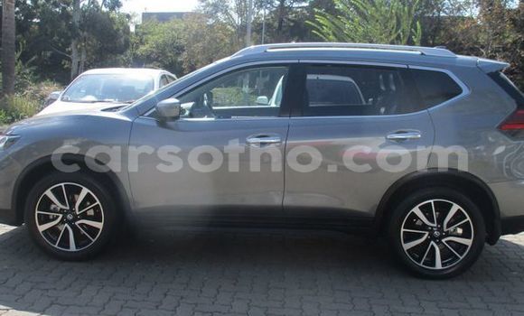 Buy Used Nissan X–Trail Silver Car in Maputsoe in Leribe Buy Used Nissan X–Trail Silver Car in Maputsoe in Leribe