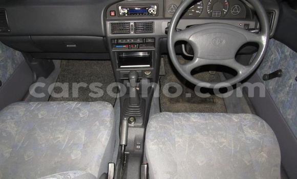 Buy Used Toyota Tacoma White Car in Maseru in Maseru Buy Used Toyota Tacoma White Car in Maseru in Maseru